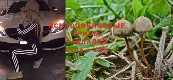 каннабис Абаза